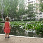 Llac Turó Park
