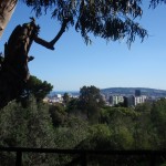 Parc de l'oreneta