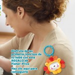 Sonall Fisher Price