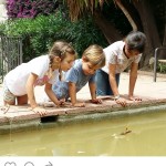 instagram sarria petits